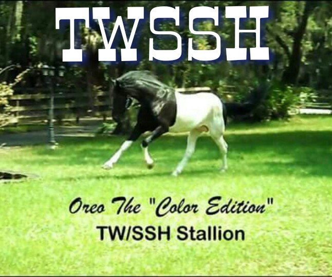 TWSSH